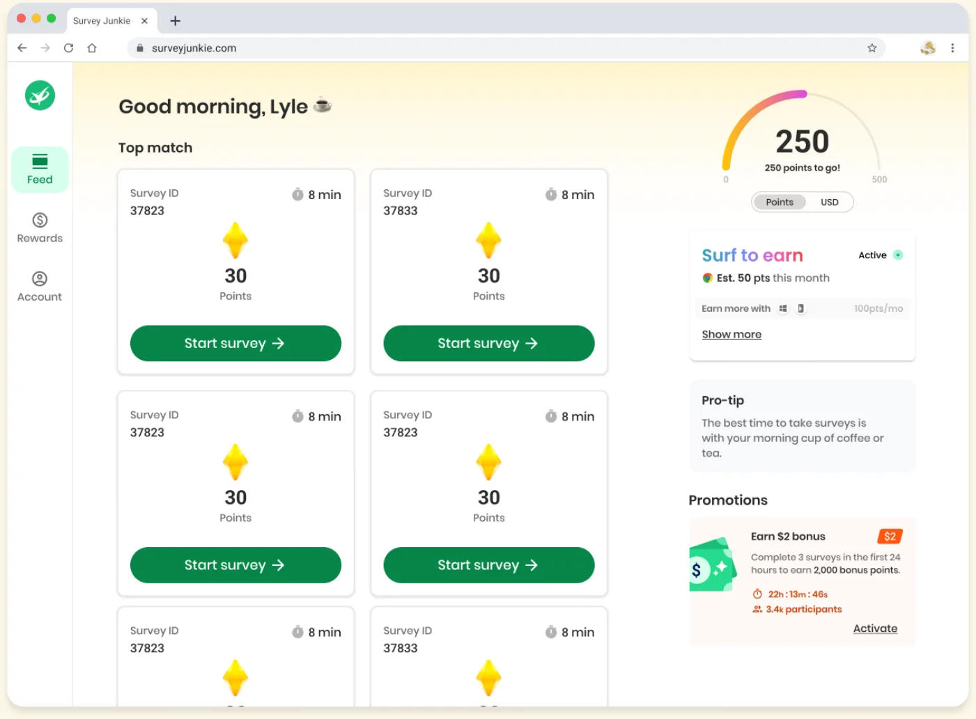 The Survey Junkie web app home screen: a grid of surveys to try, each showing its survey ID, length, and points, next to a points balance and a list of ways to earn.